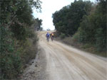 gal/2008/15 - escursioni autunnali MTB/_thb_DSC00552-01.jpg